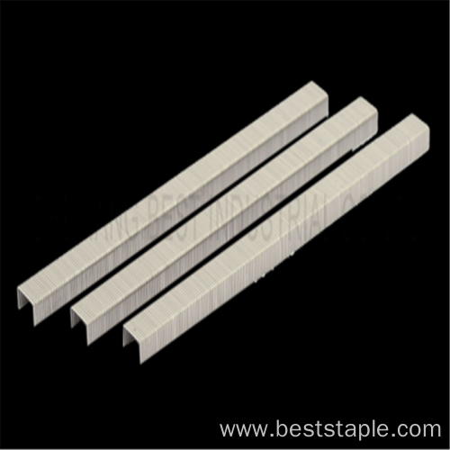 Low Price Hardware Long Niles Fine Wire Staples